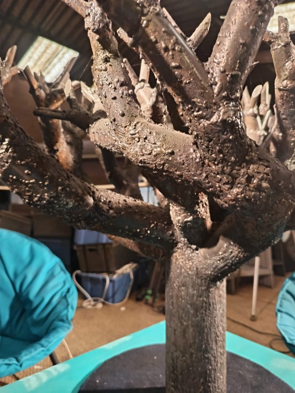 RACINE du TEMPS à offrir