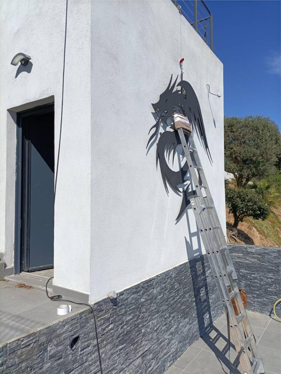 INSTALLATION d'un DRAGON sur une FACADE à TOULON